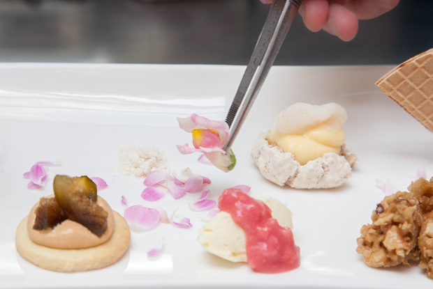 Harry Sasson-LATAM-2017-DISH2